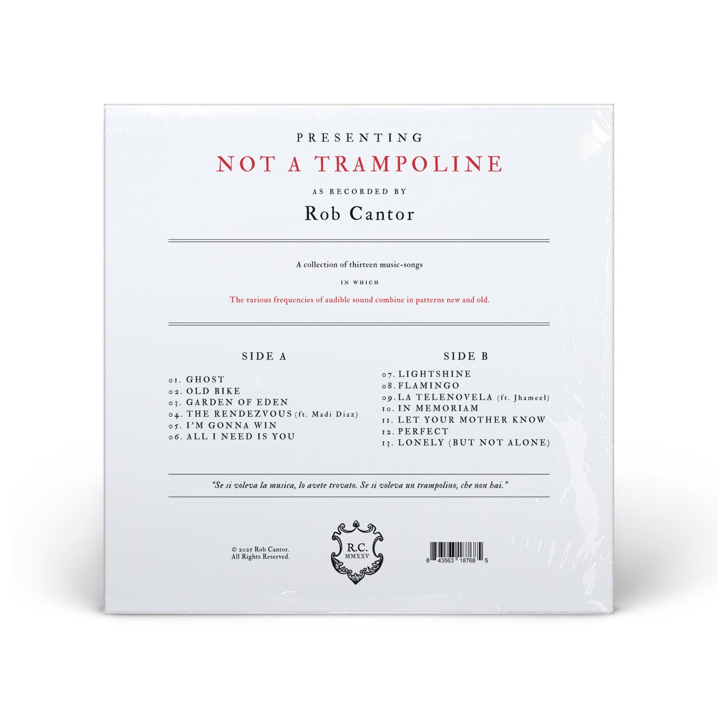 Not a Trampoline // Vinyl Edition // Chicken Wing Variant