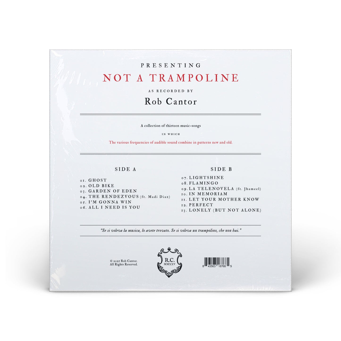 Not a Trampoline // Vinyl Edition // Old Bike Variant