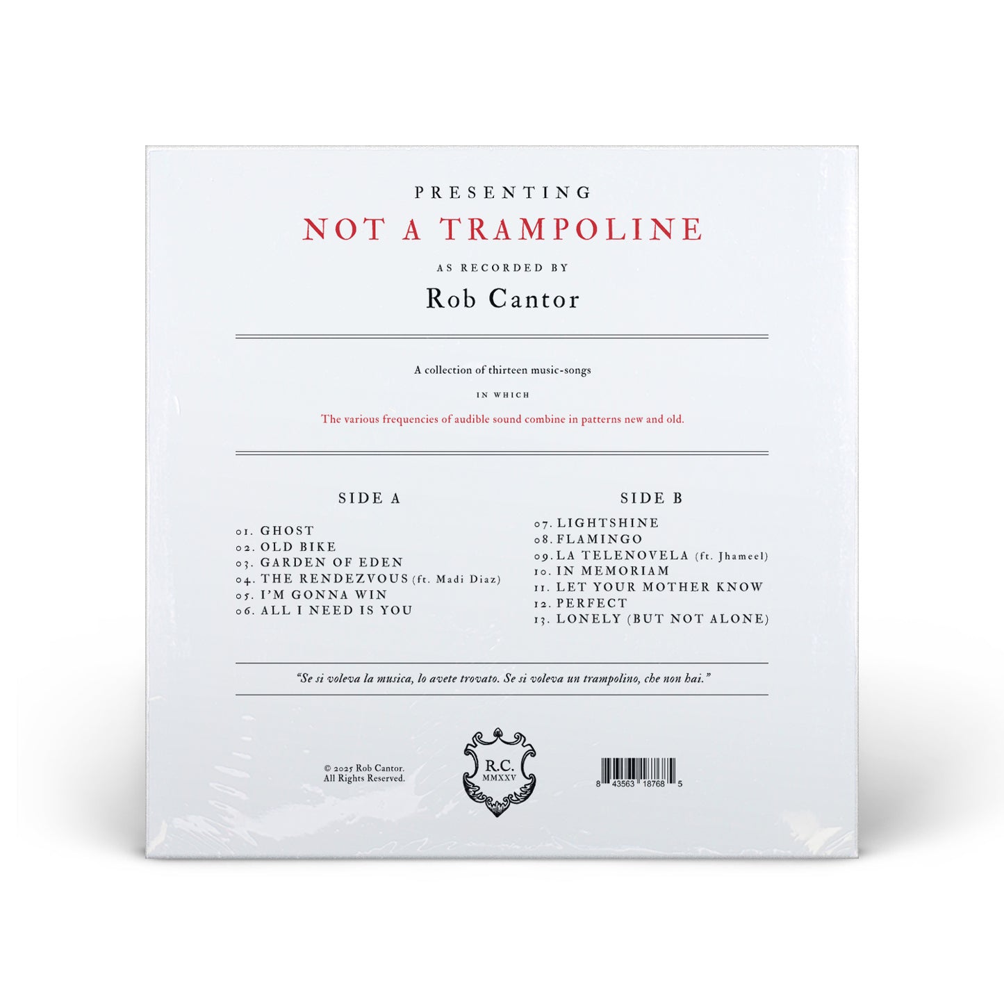 Not a Trampoline // Vinyl Edition // Flamingo Variant