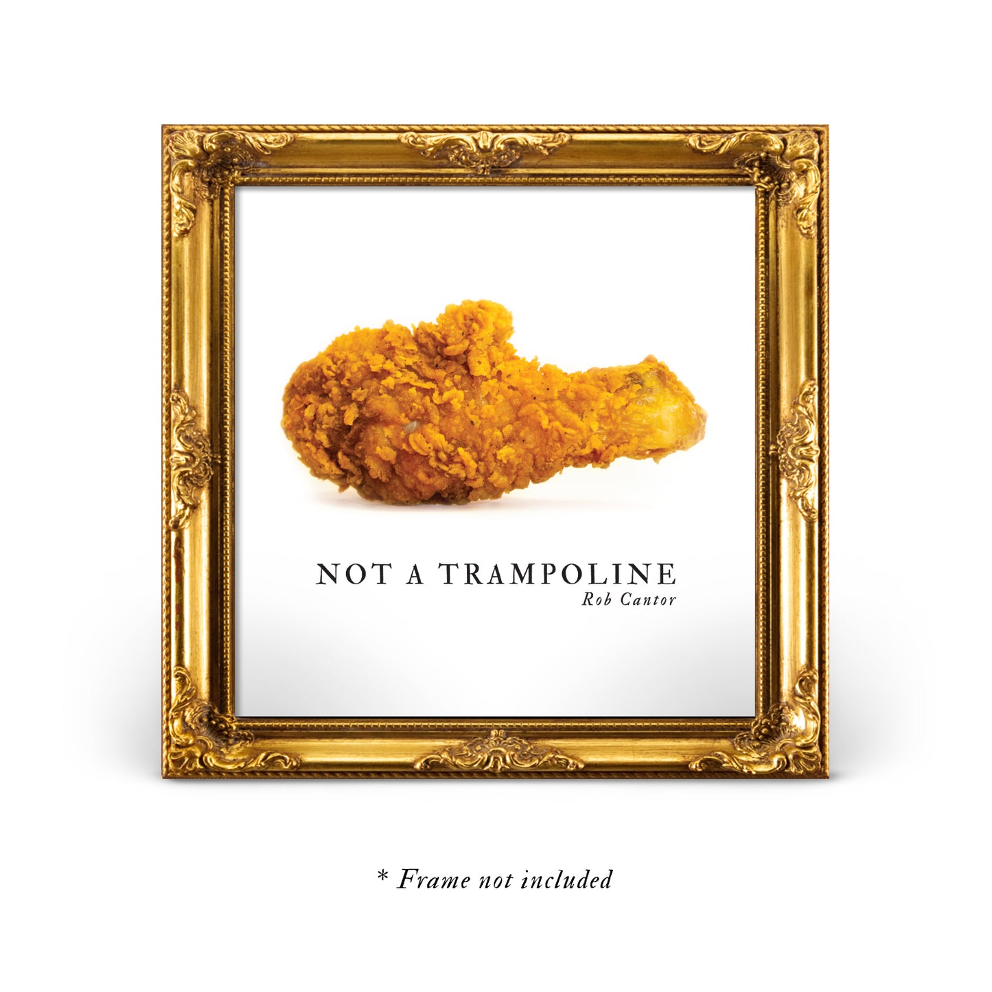 Not a Trampoline // 17x17" Poster